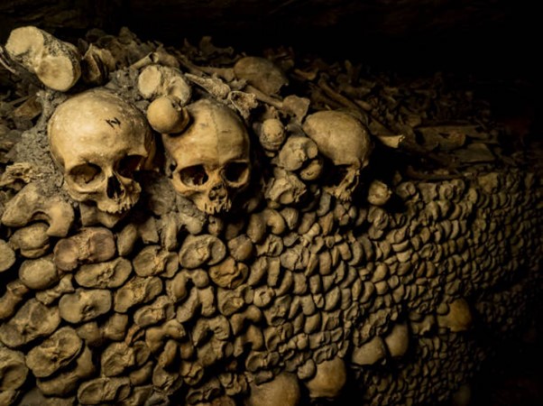 Catacomb Tour Paris: A Complete Guide to Exploring the City of the Dead Catacomb Tour Paris